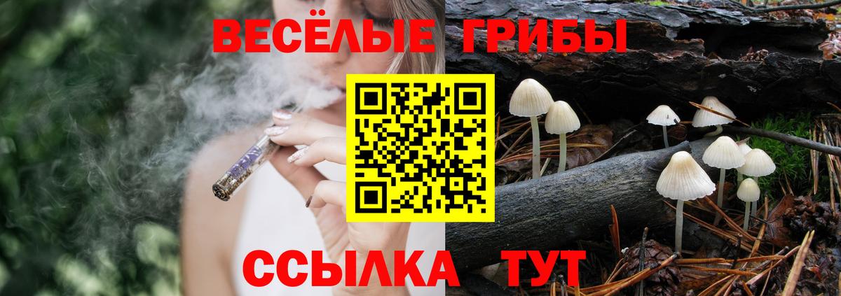 Псилоцибиновые грибы мицелий Новосибирск